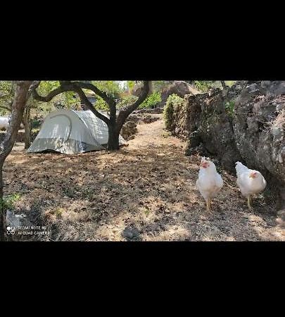 Tenda Etna Into The Wilde Montargano Екстериор снимка