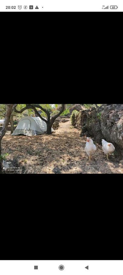 Tenda Etna Into The Wilde Montargano Екстериор снимка